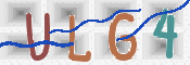 Image Anti-spam