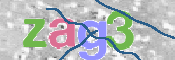Image Anti-spam